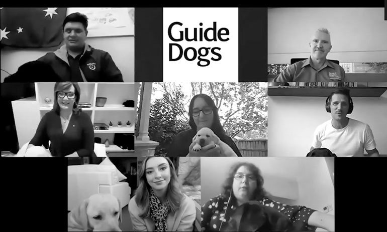 guide-dogs-zoom